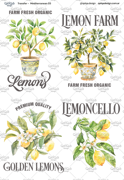 TR - Mediterranean 03