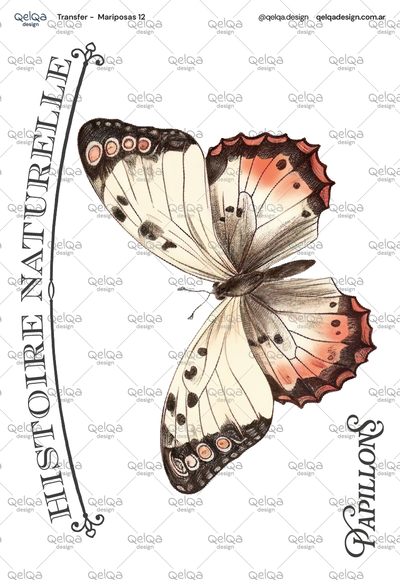 TR - Mariposas 12
