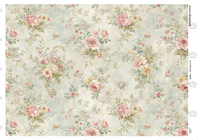 Seda - Old Papers 19