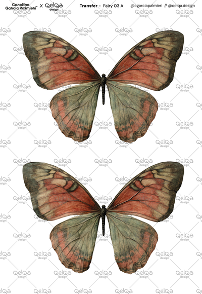 TR - Fairy 03 A