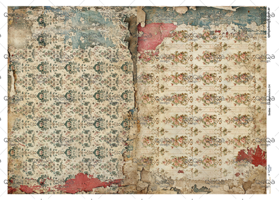 Seda - Empapelados 04