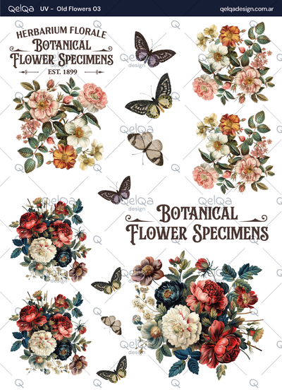 UV - Old Flowers 03