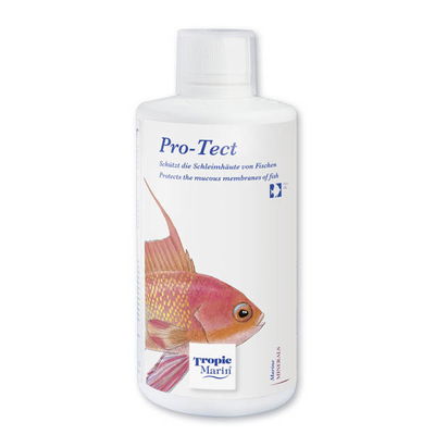 Pro-tect - 1000ml