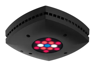 Aqua Illumination - Prime 16 HD FUGE Black  //  Aquarium Led Light REFUGIO
