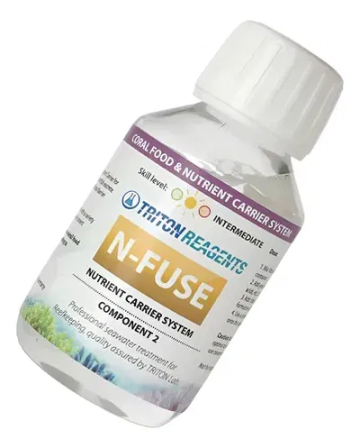 Triton - N-FUSE COMP 2