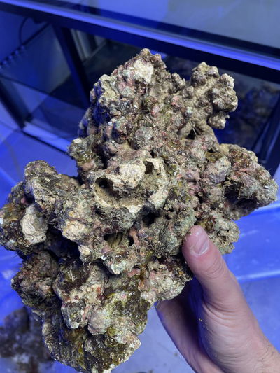 Roca Natural VIVA (Dif. Procedencias) - 1 kg (SOLO ROCAS GRANDES)