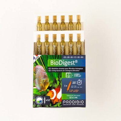 Prodibio - Biodigest x 30 unidadades