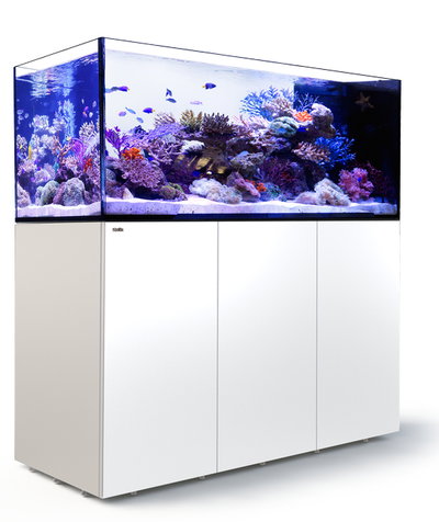Red Sea - AUS REEFER PENINSULA S 700 G2+ AQUARIUM AND SUMP SYSTEM BLANCO