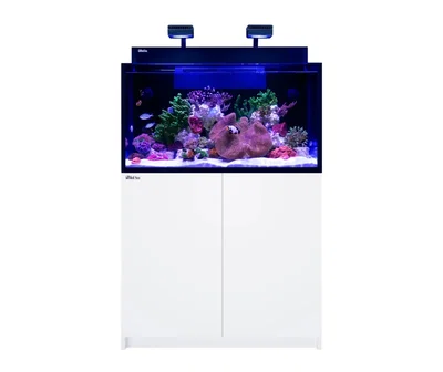 Red Sea - MAX NANO G2 XXL - AQUARIUM BLANCO