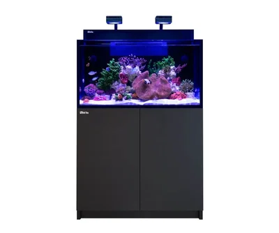 Red Sea - MAX NANO G2 XXL - AQUARIUM NEGRO