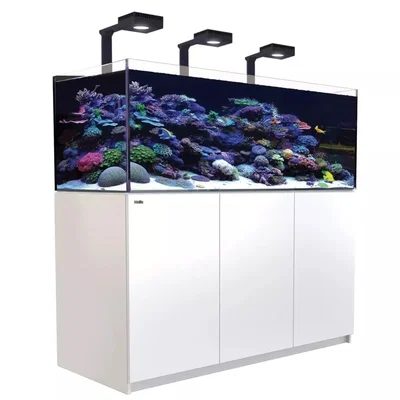 Red Sea - REEFER 525 G2+ AQUARIUM AND SUMP SYSTEM BLANCO