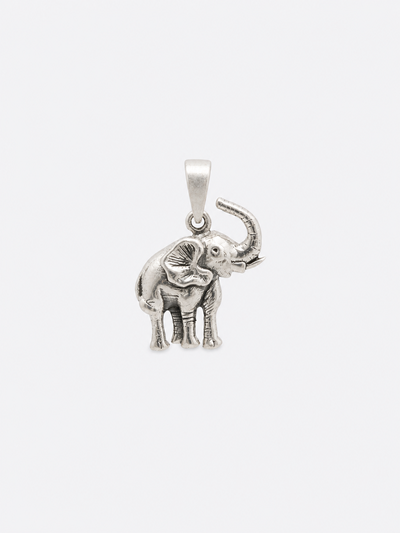 Elefante