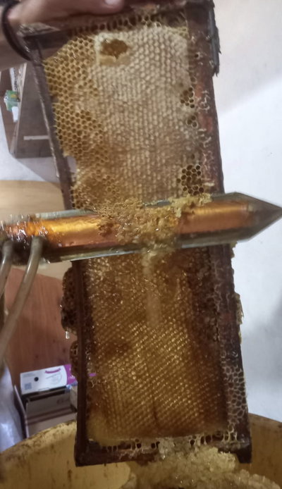 MIEL PURA, REAL Y ORGANICA