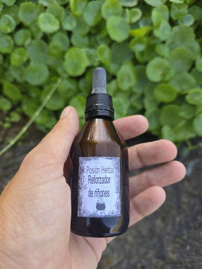 REFORZADOR DE RIÑONES X 4 UNIDADES