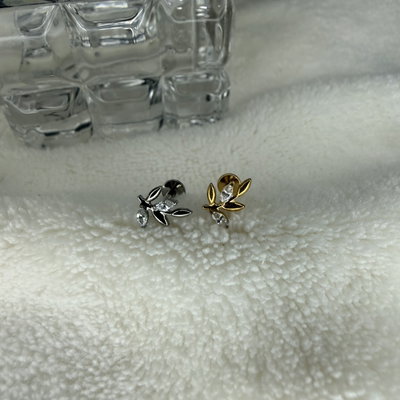 Labret ramita strass titanio