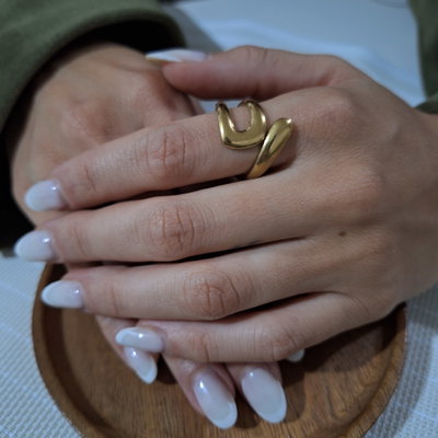 Anillo Órbita