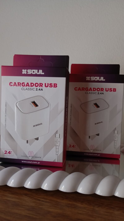 Cargador Desmontable C (Soul)