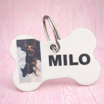 Identificador para mascotas