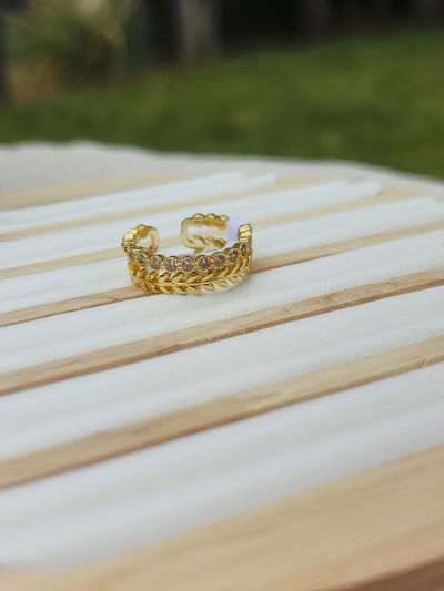 Anillo Doble Laurel
