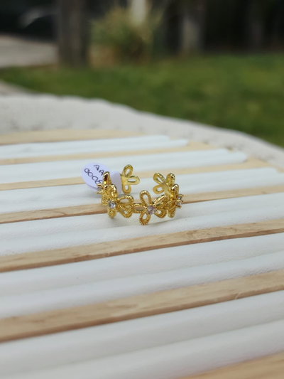 Anillo Diferentes Diseños