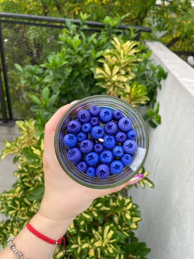 MIDNIGHT BERRY