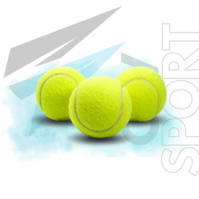 PELOTA TENIS X3