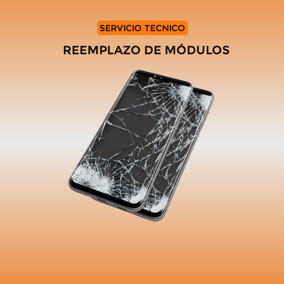Servicio Técnico Especializado en Cambio de Módulo