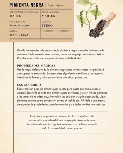 La magia de las hierbas. Aurora Kane