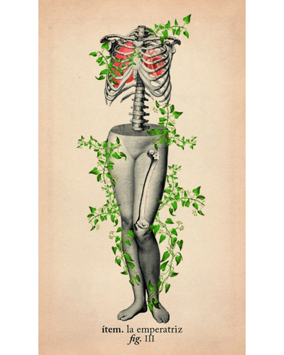 Tarot de anatomia y botanica antiguas. Ediciones Librero