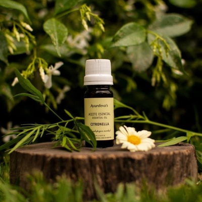 Aceite esencial de Citronella