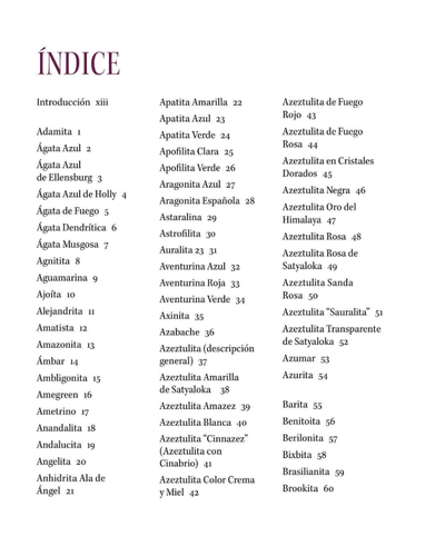 Libro de bolsillo piedras. Robert Simons. Ed Oceano