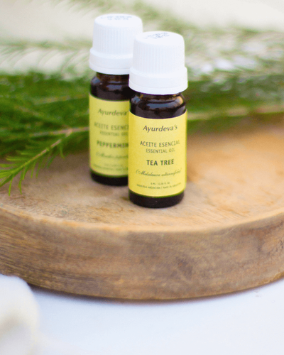 Aceite esencial de Tea tree / arbol de te