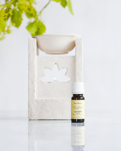 Aceite esencial de Alcanfor