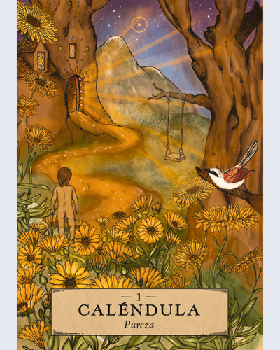 Oraculo Astrologia Herbal. Arkano Books