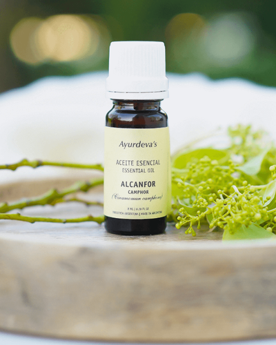 Aceite esencial de Alcanfor