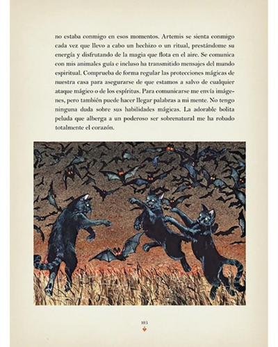 La magia de los gatos. Rieka Moonsong