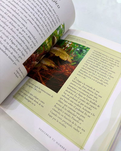 La biblia de la Wicca de Anne Marie Gallagher