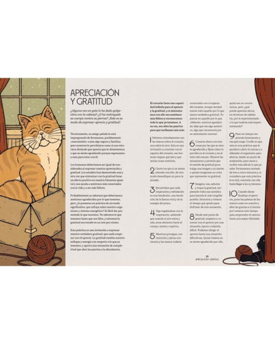 Gatos y meditación  editorial Librero