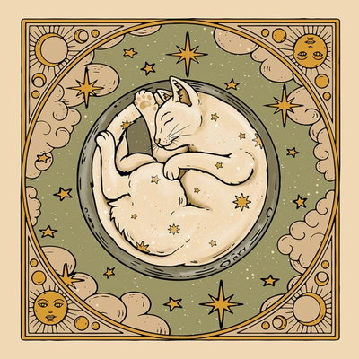 Paño para tarot gatito durmiendo