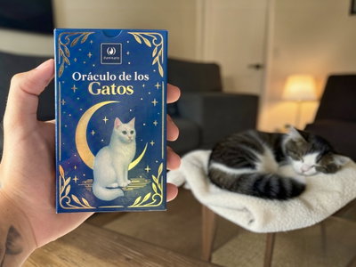 El oraculo de los gatos. Iluminarte