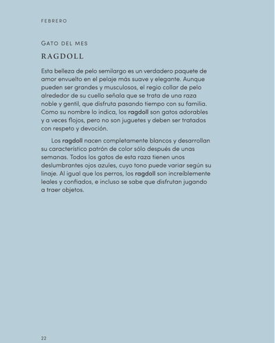 El Año del Gato. Gatos, Magia, Naturaleza y Hechizos. Alison Davies. Ediciones Obelisco