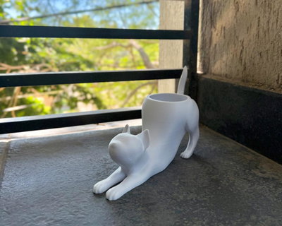 Maceta cat