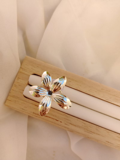 Anillo Florence Acero blanco 