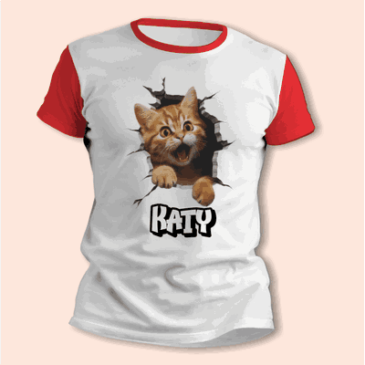 Remeras del Minino con su Nombre Personalizado 3D - 6305