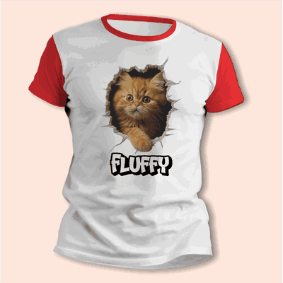 Remeras de la Minina con su Nombre Personalizado 3D - 6306