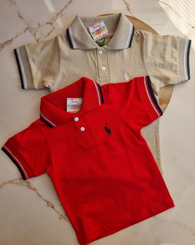 Chomba Polo Bordado