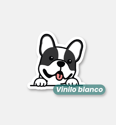 Bulldog frances