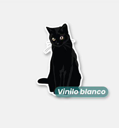 Gato negro