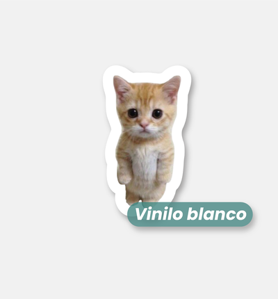 Gatito chiquito