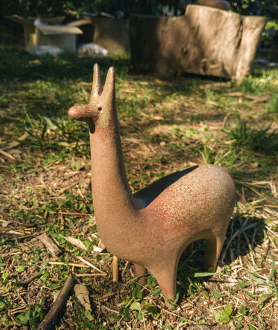 Guanaco